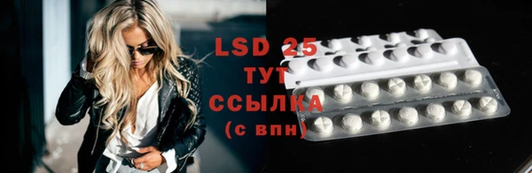 mdpv Снежногорск