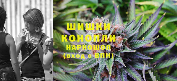 mdpv Снежногорск
