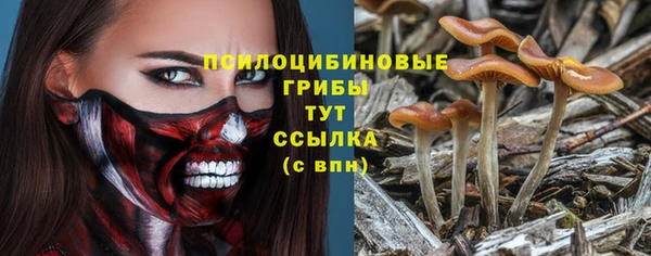 винт Снежинск