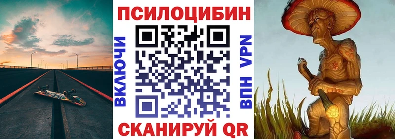 darknet какой сайт  MEGA как зайти  Туапсе  Галлюциногенные грибы Psilocybine cubensis 
