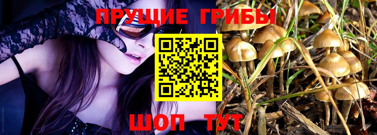 Галлюциногенные грибы мицелий  Вход с VPN  Туапсе 