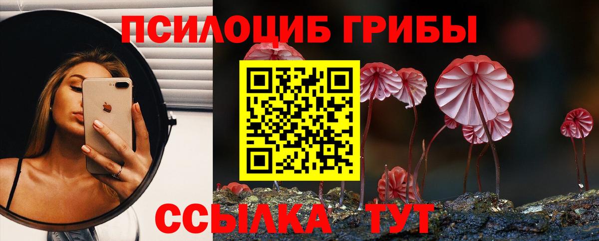 Псилоцибиновые грибы MAGIC MUSHROOMS Туапсе
